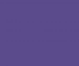 Secondary - Purple