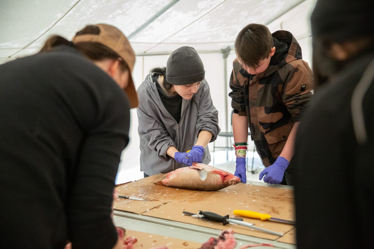 Students learn to descale and gut whitefish at a Traditional Foods Camp in Enoch, Alberta.