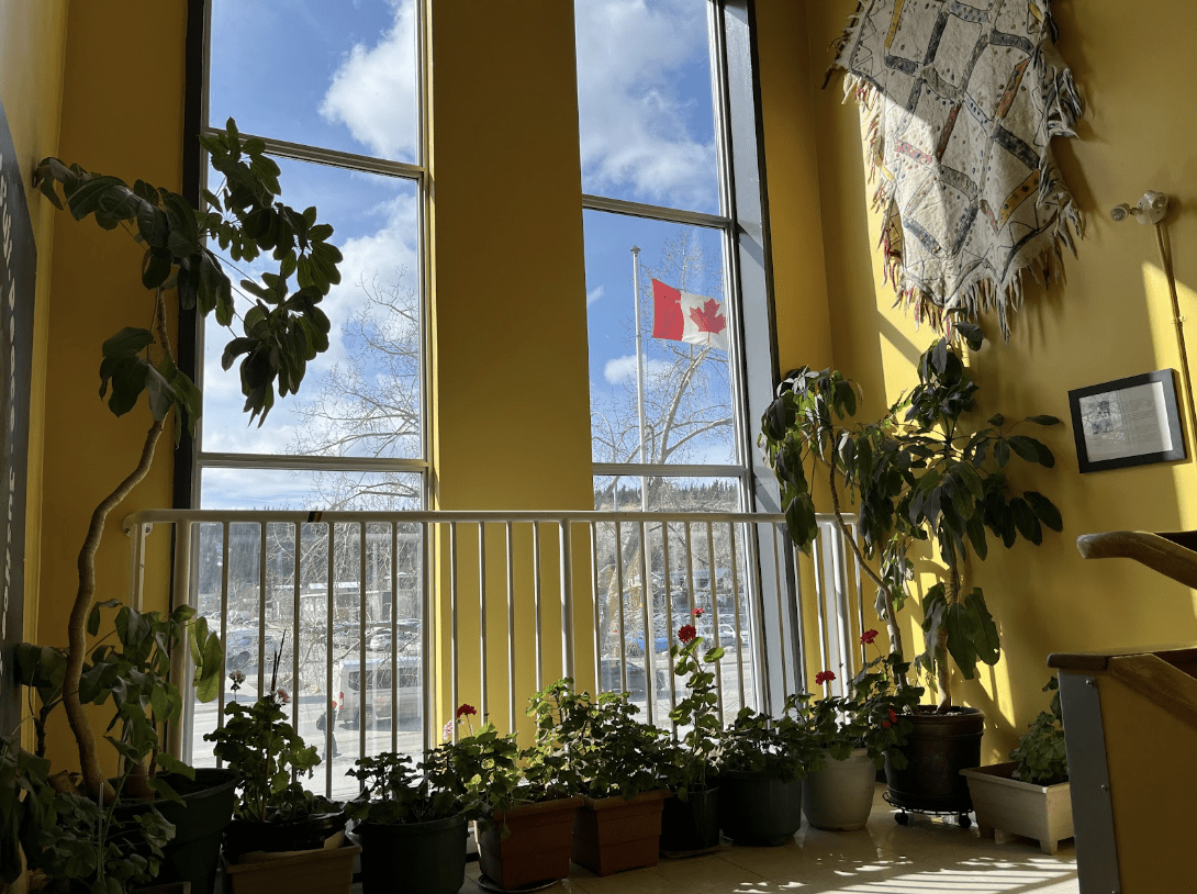 École Whitehorse Elementary Schoo